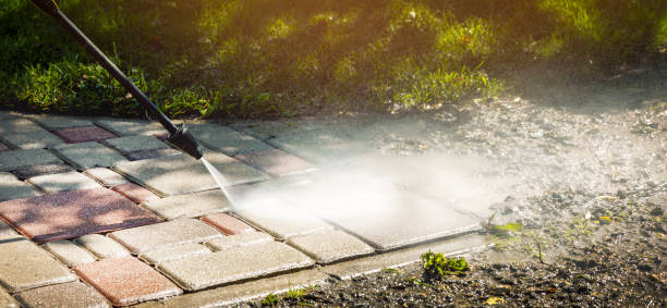 Best Animal Enclosure Cleaning  in Slaton, TX